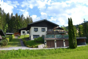 Ferienwohnungen Walcher, Ramsau Am Dachstein, Österreich